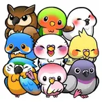 Bird Life – Жизнь птиц логотип