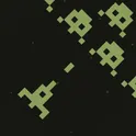Star Flight логотип