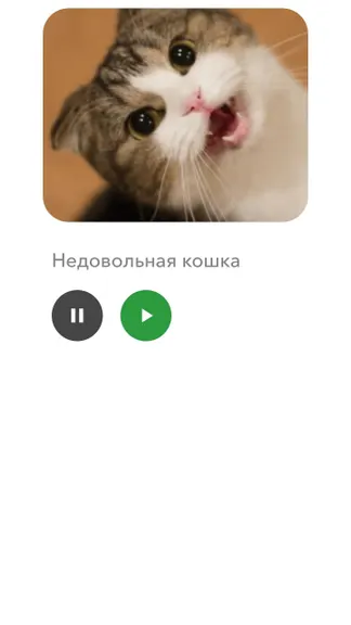 Скриншот 5/5