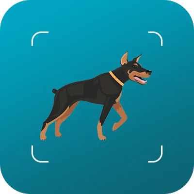 Dog breeds identifier, scanner app: Scan dogs