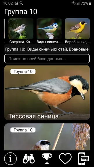 Скриншот 9/10