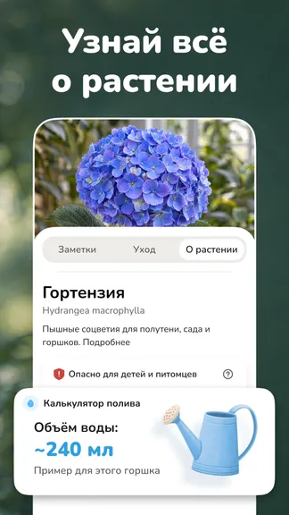 Скриншот 2/8