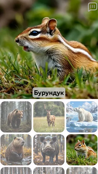 Скриншот 4/8