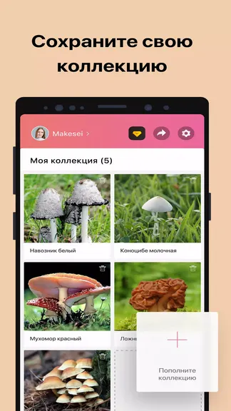 Скриншот 5/7