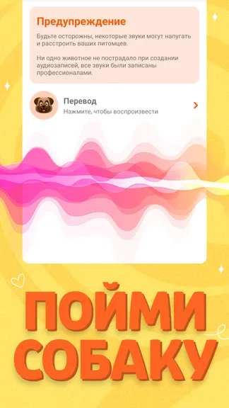 Скриншот 4/4