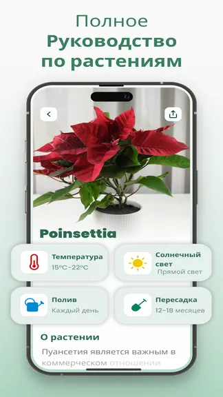 Скриншот 2/6
