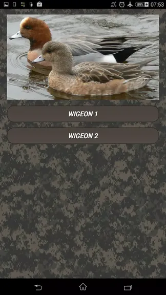 Скриншот 2/6