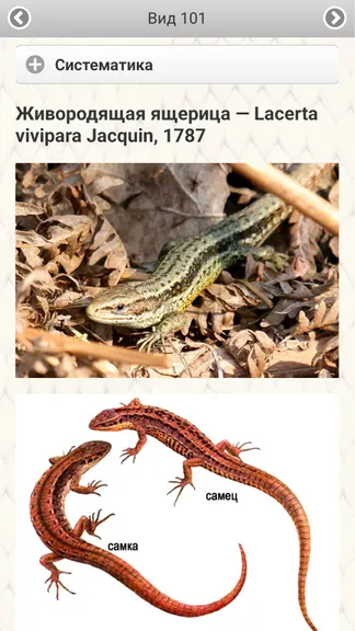 Скриншот 8/8