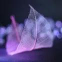 Wallpaper логотип