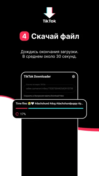 Скриншот 4/5