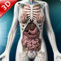 Human anatomy 3D : Organs and Bones логотип