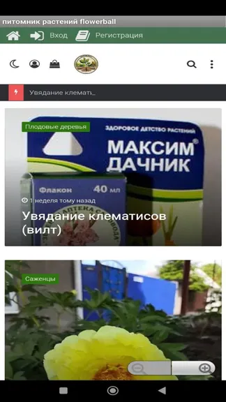 Скриншот 1/4