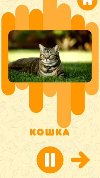 Скриншот 3/3