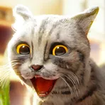 Cat Simulator 2 логотип
