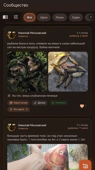 Скриншот 9/9