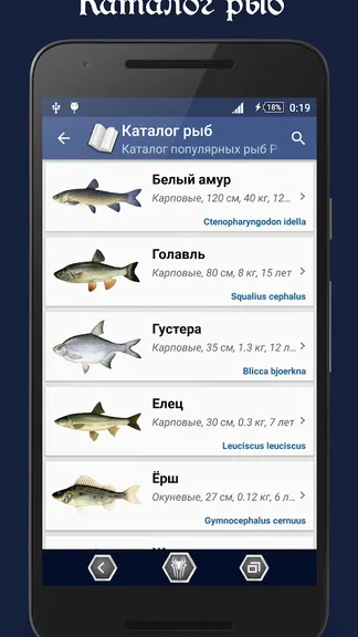 Скриншот 1/5