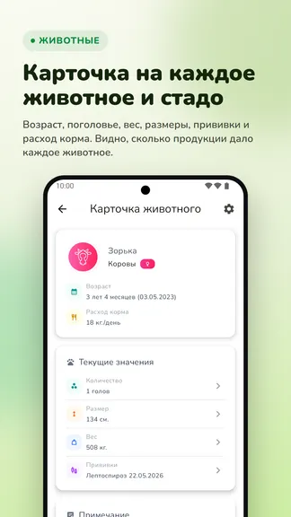 Скриншот 6/10
