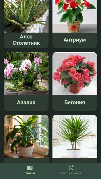 Скриншот 7/8
