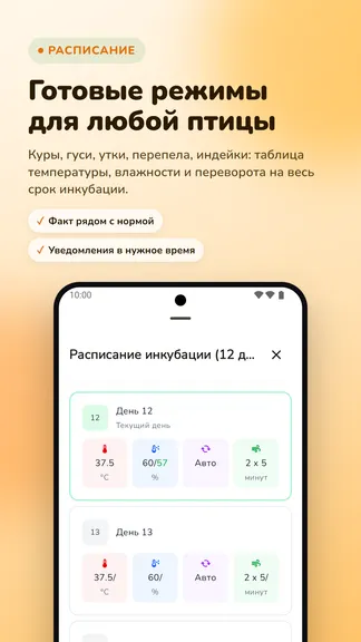Скриншот 9/10
