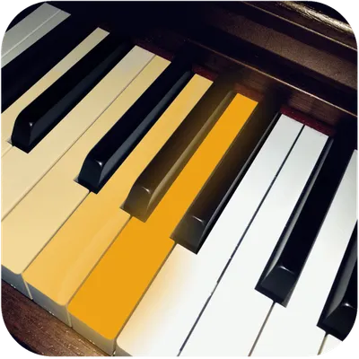 Piano Scales & Chords - Learn to Play Piano