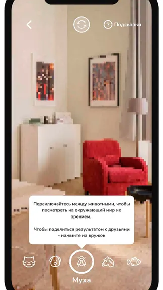 Скриншот 5/8