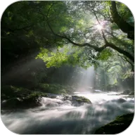 Flowing Stream Live Wallpaper