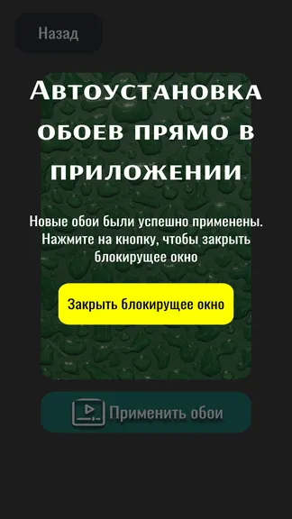 Скриншот 2/4