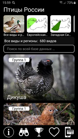 Скриншот 1/10