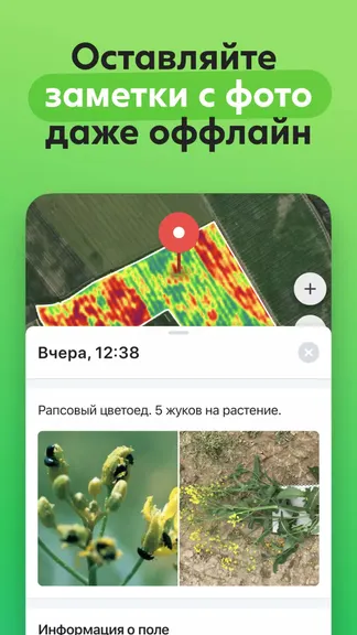 Скриншот 2/8