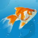 AquaLife 3D логотип