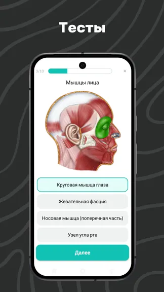 Скриншот 6/7