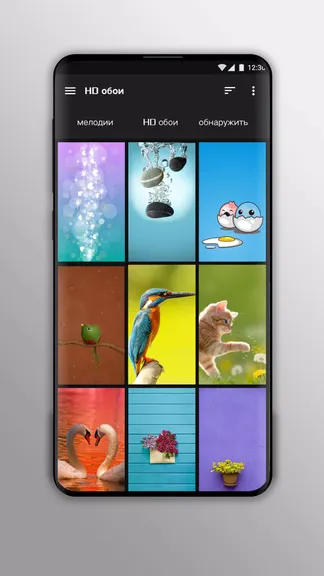 Скриншот 5/5