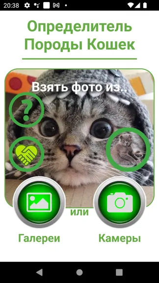 Скриншот 1/6