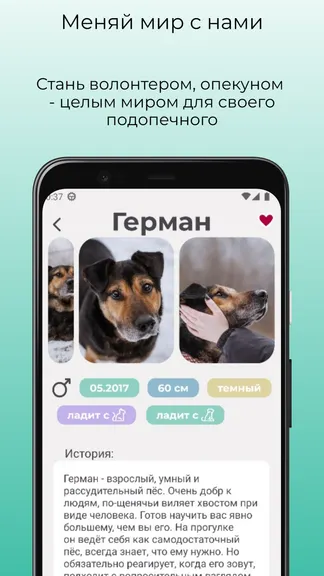 Скриншот 4/5