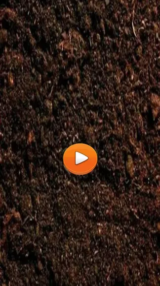 Скриншот 2/4