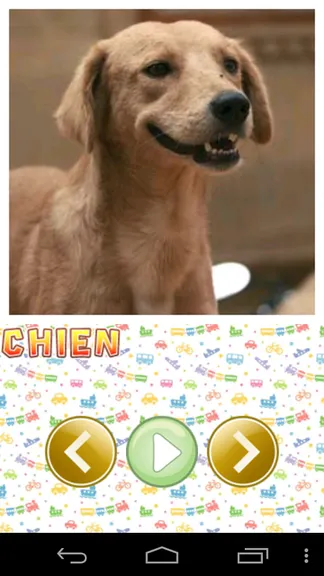 Скриншот 1/5