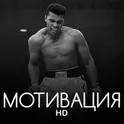 Мудрые, Мотивирующие обои HD логотип