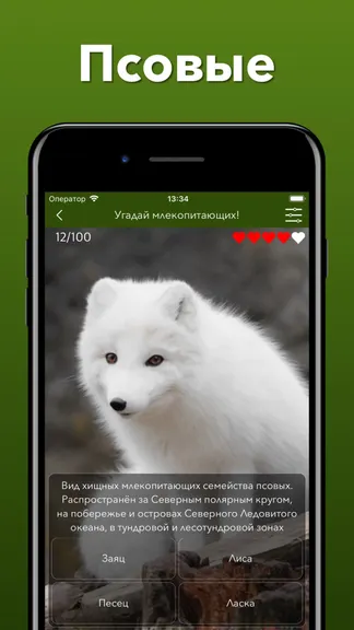 Скриншот 5/10