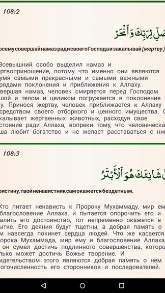 Скриншот 10/10