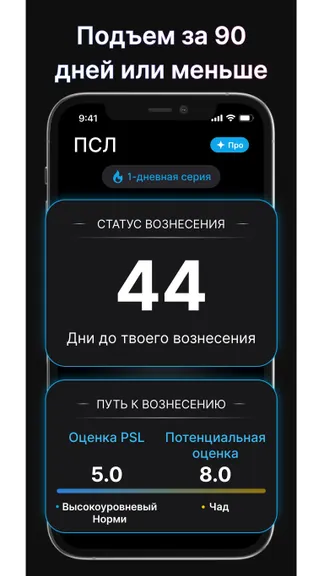 Скриншот 2/4