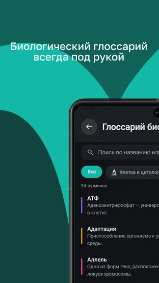 Скриншот 2/8