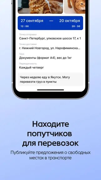 Скриншот 3/6
