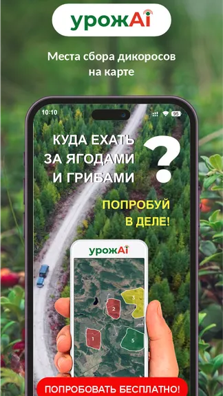 Скриншот 1/4