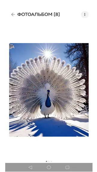 Скриншот 9/10