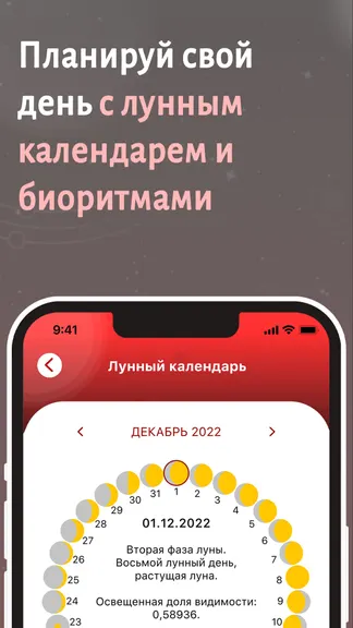 Скриншот 3/5