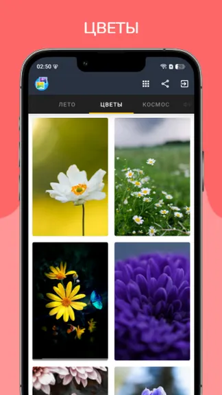 Скриншот 8/10