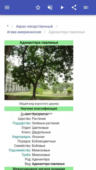 Скриншот 4/5