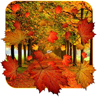 Fall Live Wallpaper