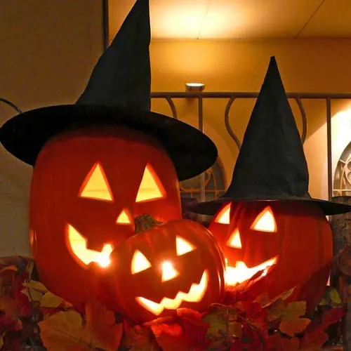Jack-o-lanterns Live Wallpaper — иконка