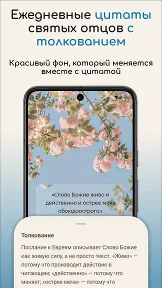 Скриншот 2/7